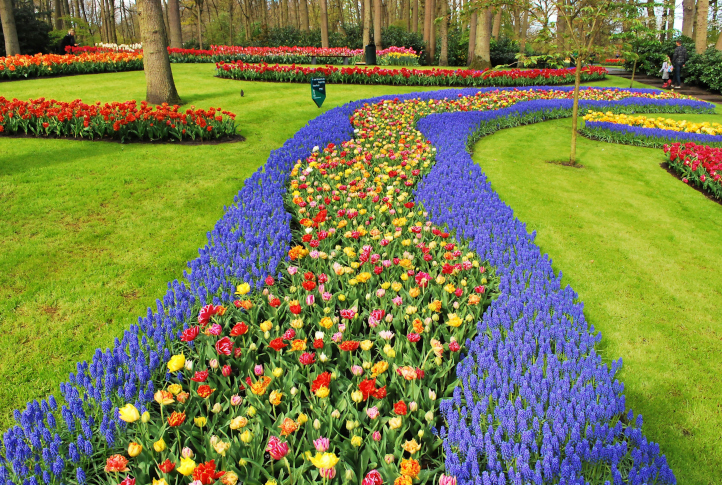 The Keukenhof: The Wisdom of the Bulb